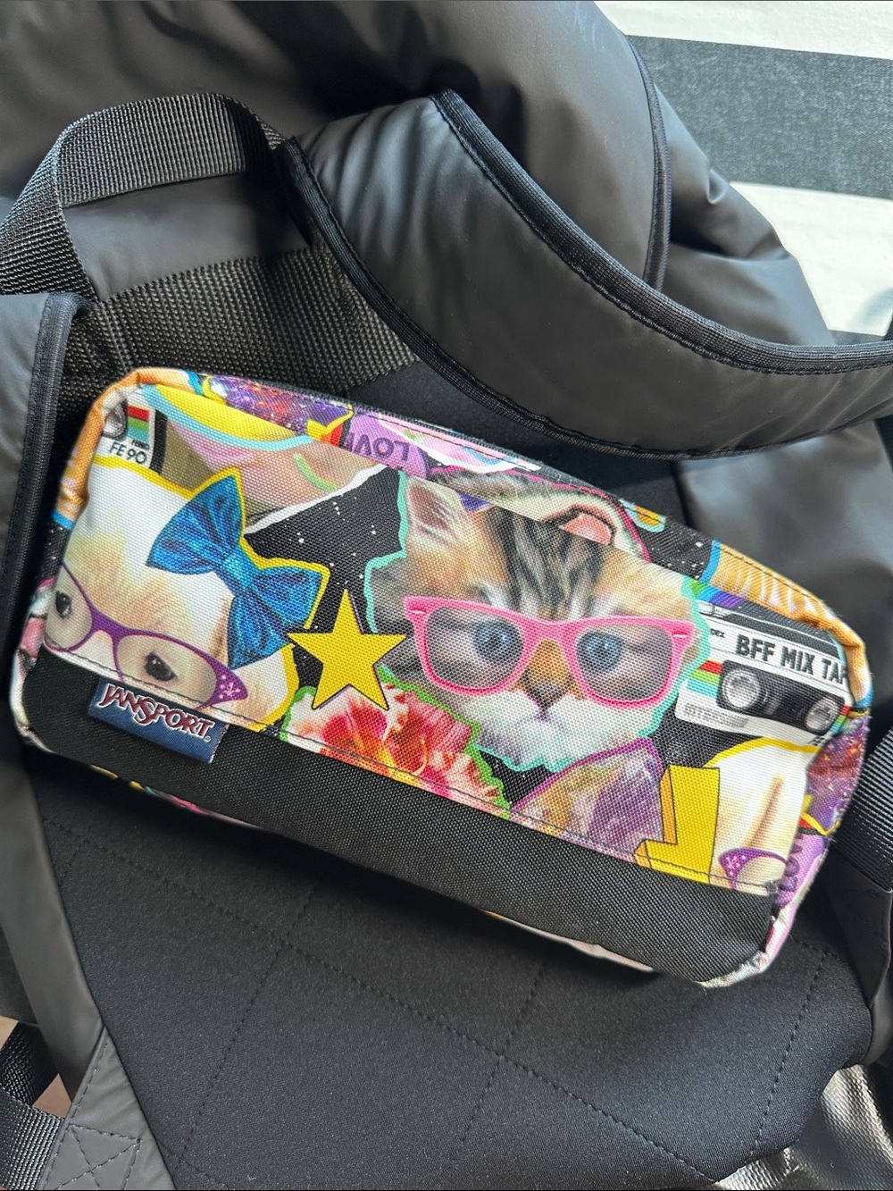 Jansport Vintage Back to School Tech Pouch “Hairball” colorway